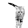 5 A˂